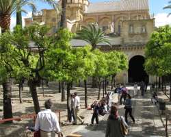 It has Orange trees like another cathedral of Spain. There are also fountains beneath the trees which were used for the purification of Muslims before